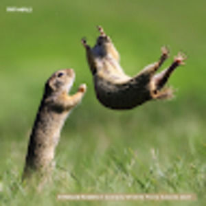 Meet your Posher, Basit